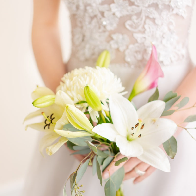 lily flower seeds up to 50%