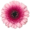 12 d28ab50c 99e3 4c6e b837 cf2207eda3ba