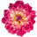 13 148dda23 5350 45e5 ac6f 0f71cafac1da
