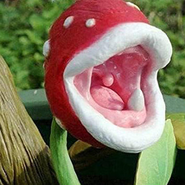 Enchantress Carnivorous Plant Seeds Up to 50%