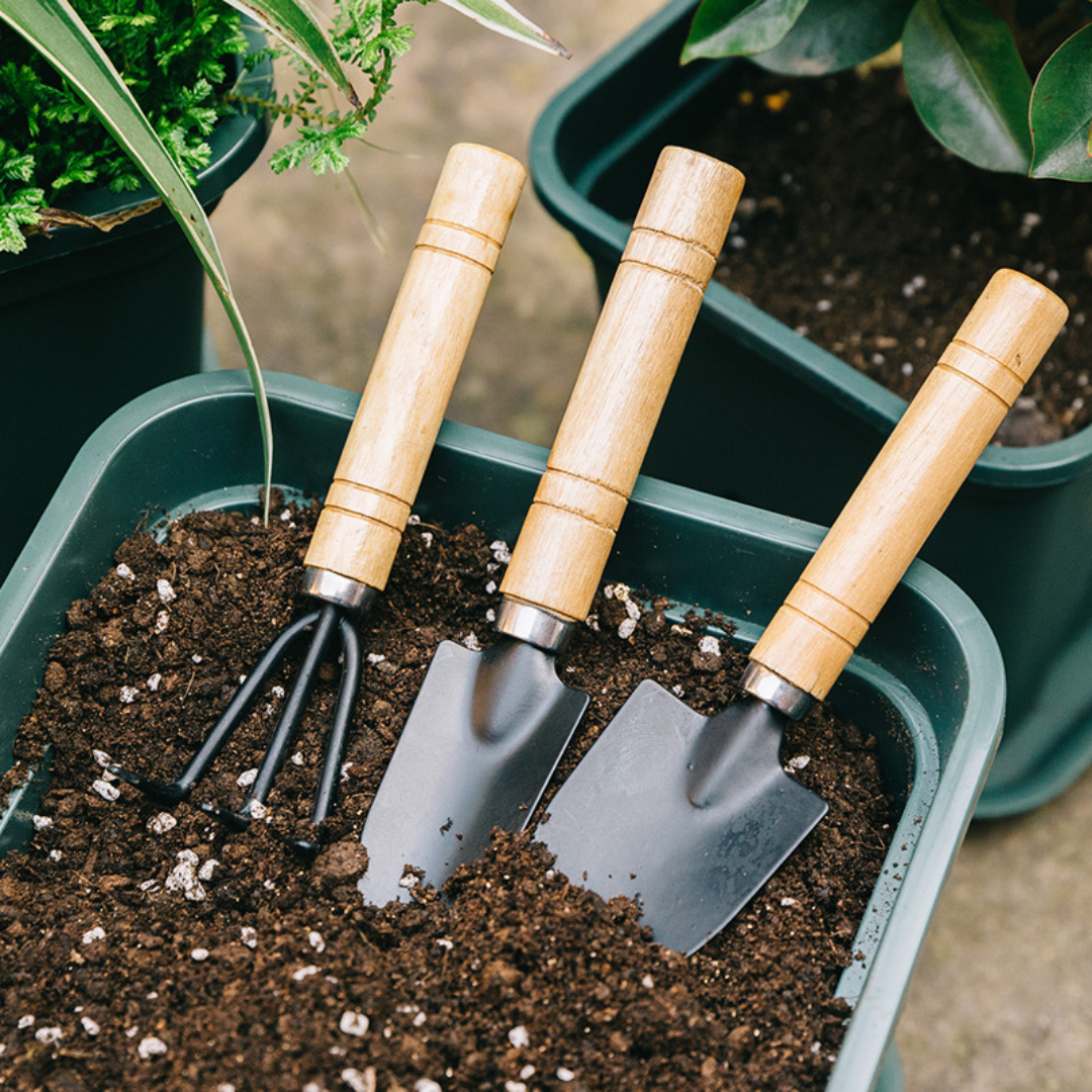 Flower planting tools Special gardening soil loosening flower shovel set of three small shovels for growing vegetables and flowers