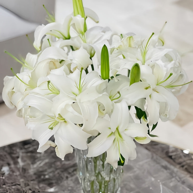 Lily Bulbs - Siberia