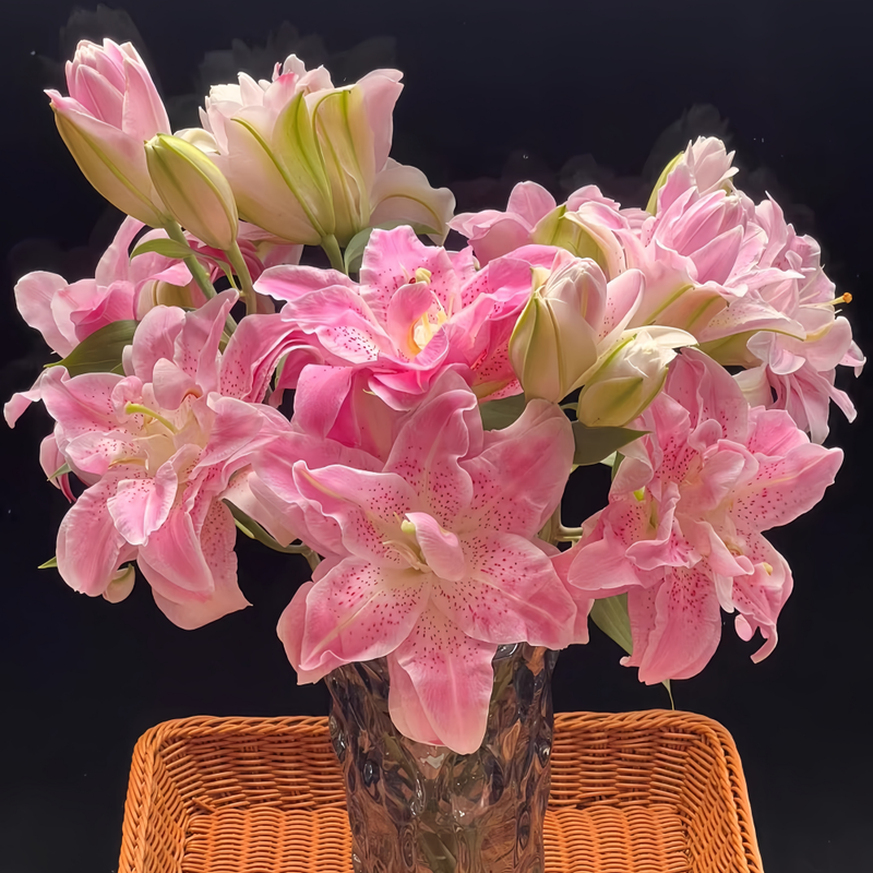 Perfume Lily Pink Bulbs up to 50%