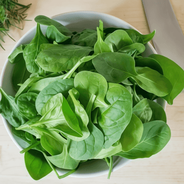Spinach Seeds