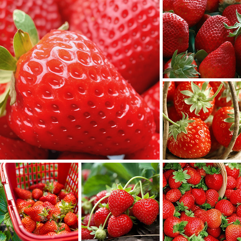Strawberries seeds up to 50%