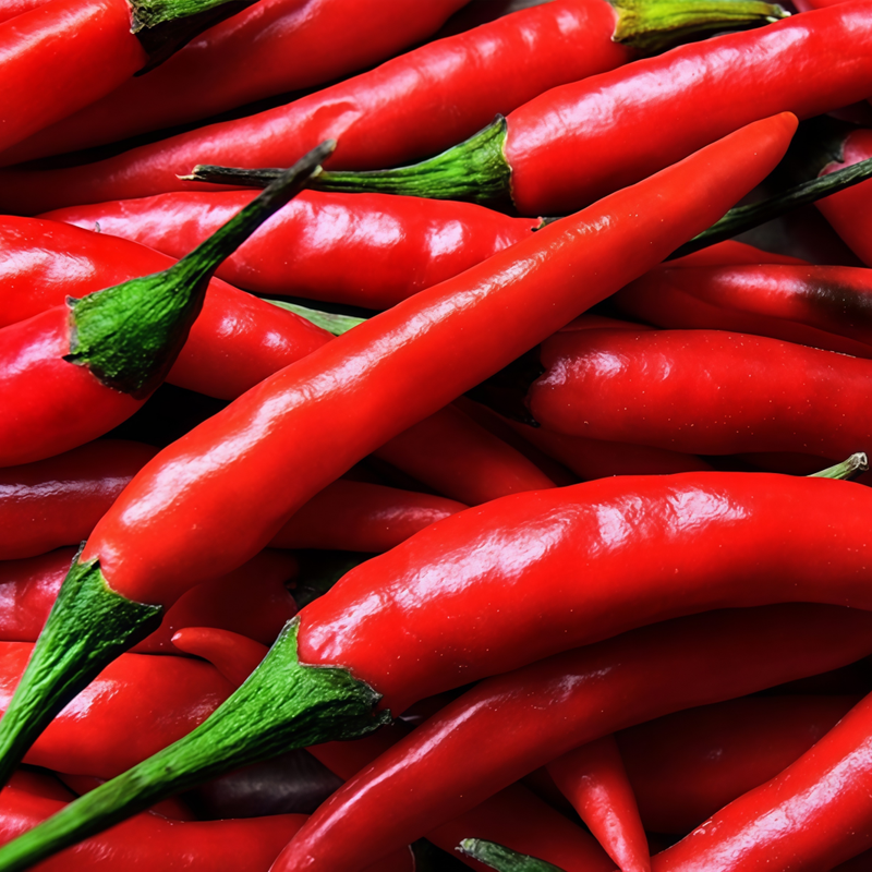 Capsicum Annuum Var. - American Red Horn Larger Packet High Germination 3000-15000 Onsaleseeds