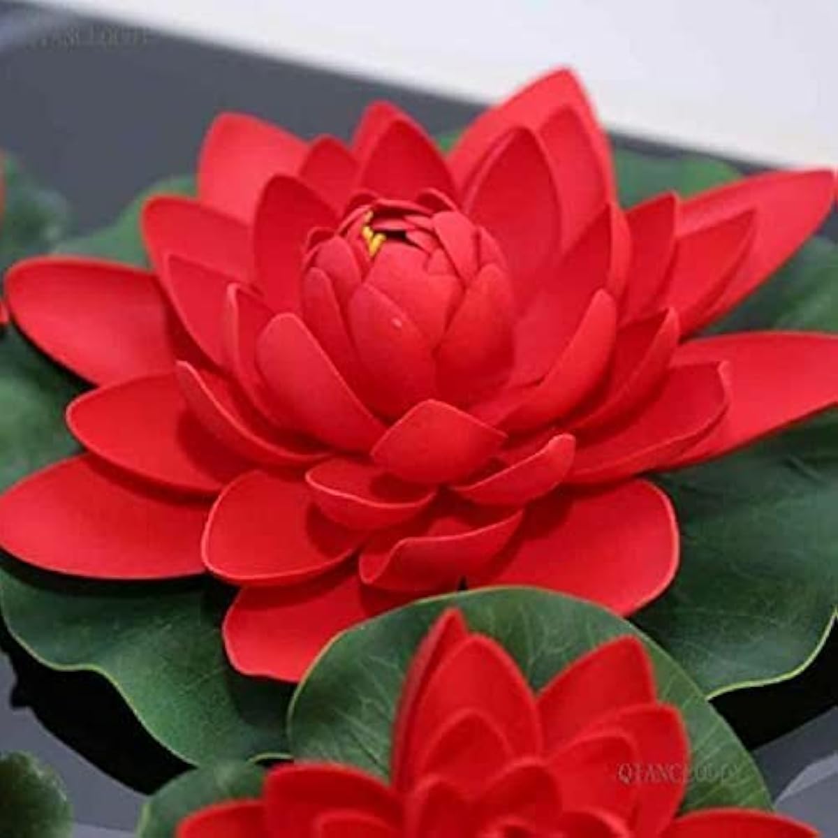 Red Lotus Flower Seeds – up to 50%