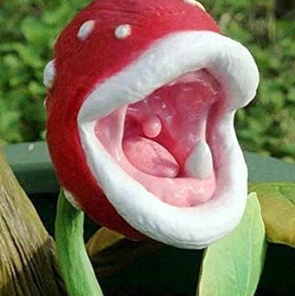 Enchantress Carnivorous Plant Seeds up to 50%