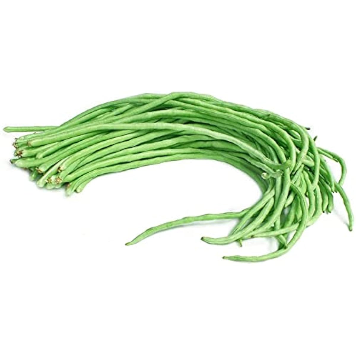 Long Red Noodle Bean Seeds up to 50%