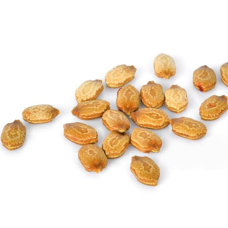 Bitter Melon Seeds up to 50%