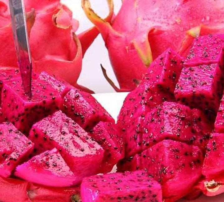 Red Dragon Fruit - Pitaya Plant Seeds for Garden Growing up to 50%