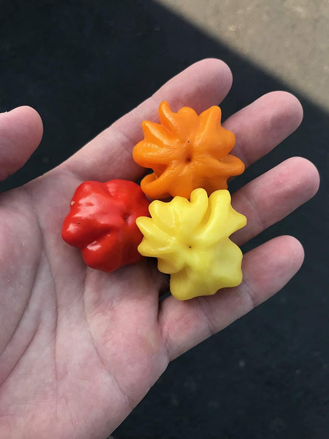 Aji Brazilian Starfish Yellow Hot Pepper Seeds– up to 50%