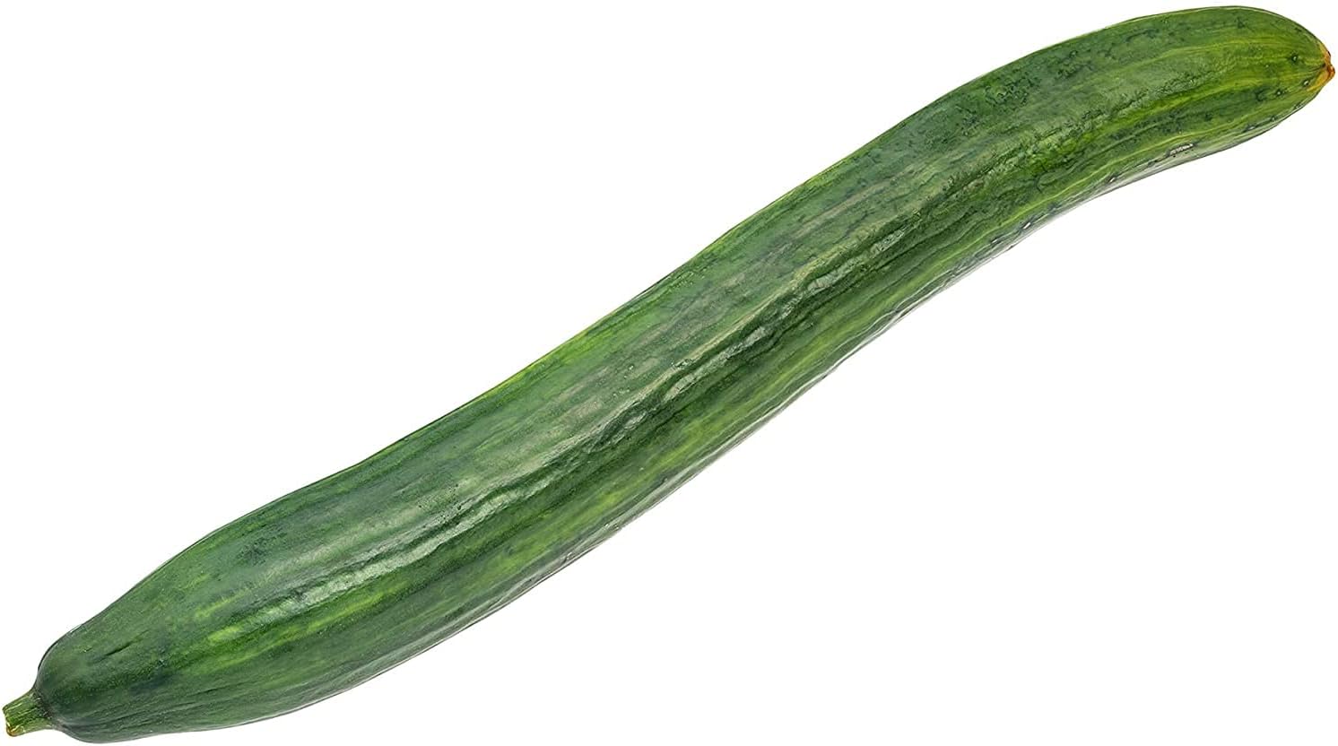 Japanese Long Cucumber Seeds up to 50%
