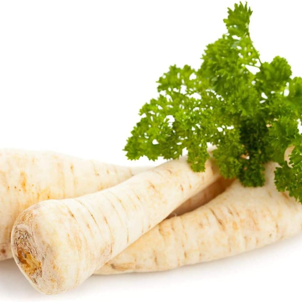 Dutch Hamburg Parsley Seeds up to 50%