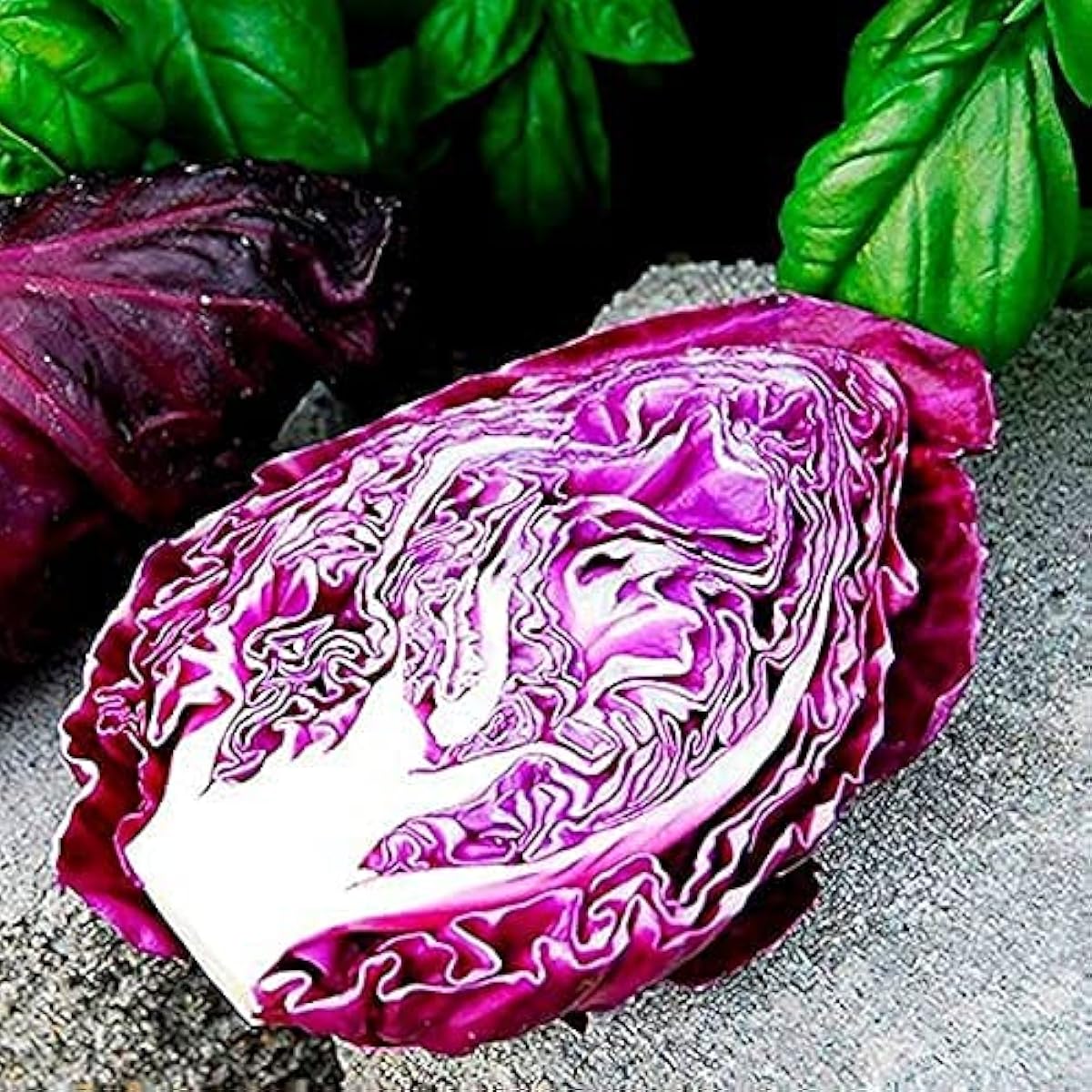 Red Kalibos Cabbage Seeds up to 50%