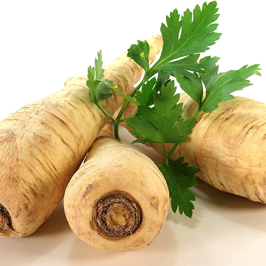 Dutch Hamburg Parsley Seeds up to 50%