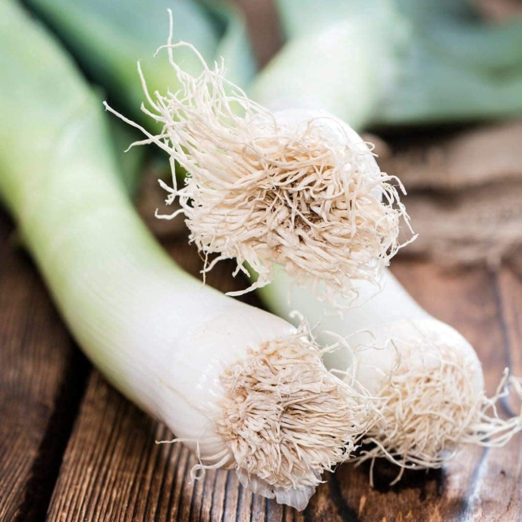 American Flag Leek Seeds up to 50%