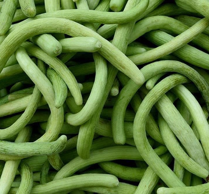 Chinese Snake Cucumber Seeds – Armenian Heirloom Vegetable – up to 50%