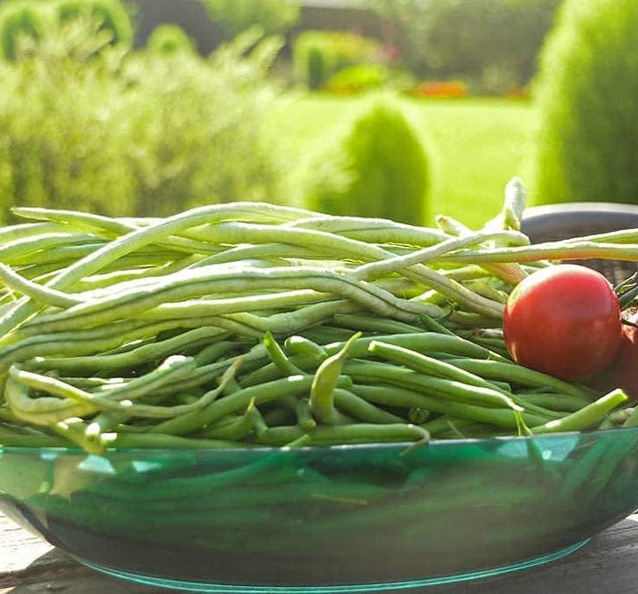 Long Red Noodle Bean Seeds up to 50%