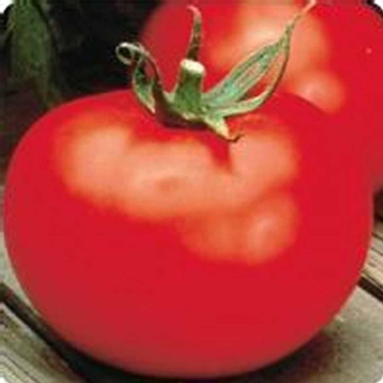 Better Boy Tomato Seeds up to 50%