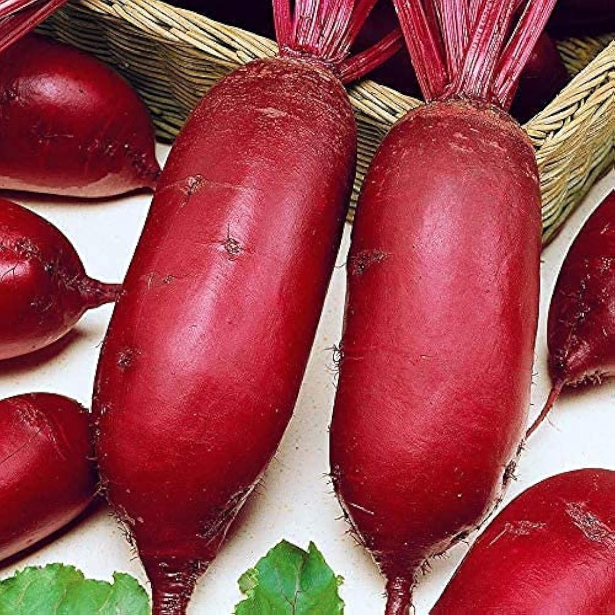 Rival Beetroot Seeds up to 50%