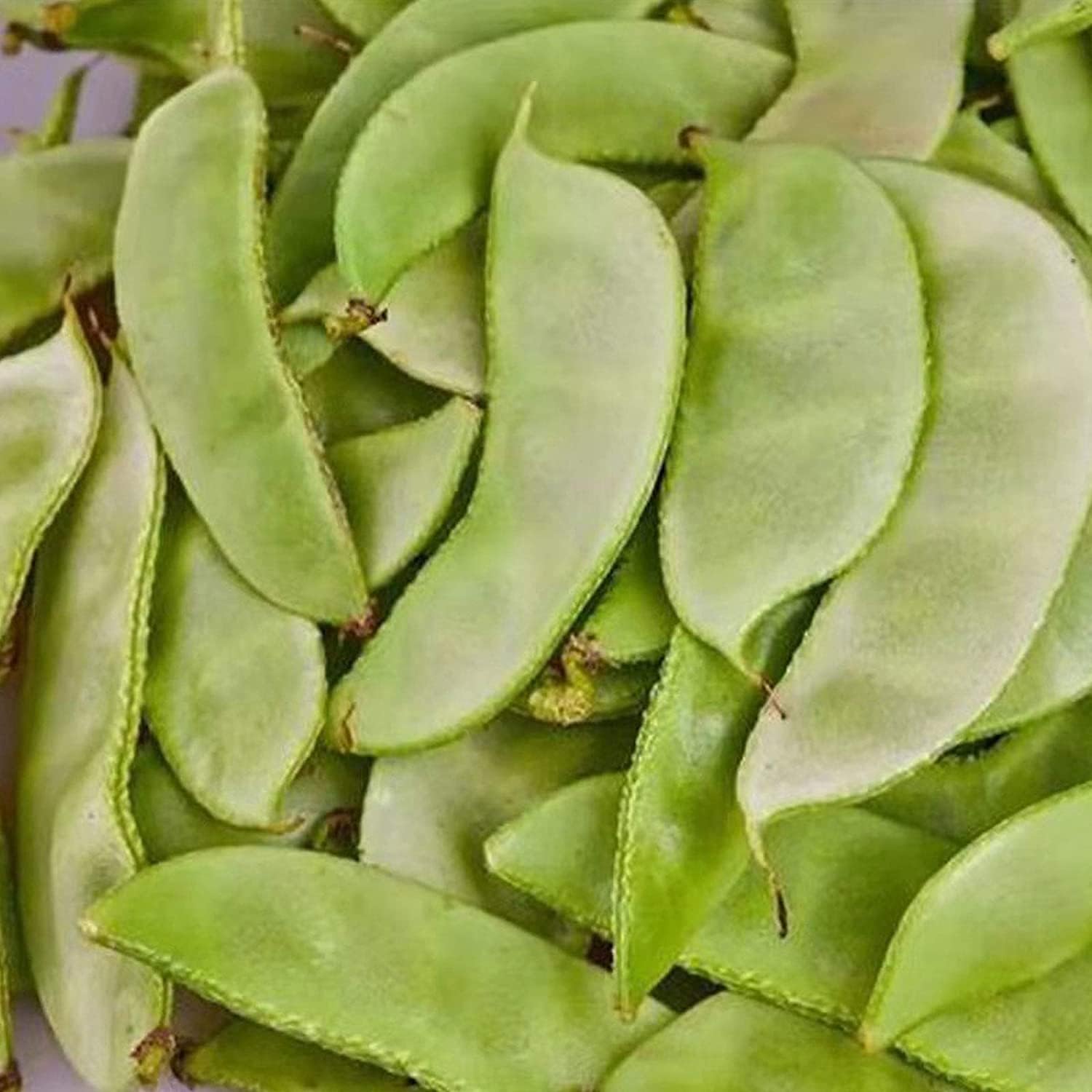 Henderson Lima Bean Seeds up to 50%