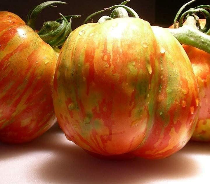 Rainbow Giant Tomato Seeds up to 50%