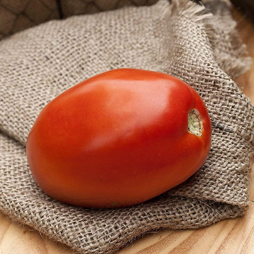 Romeo Roma Heirloom Tomato Seeds – Italian Paste Variety | up to 50%