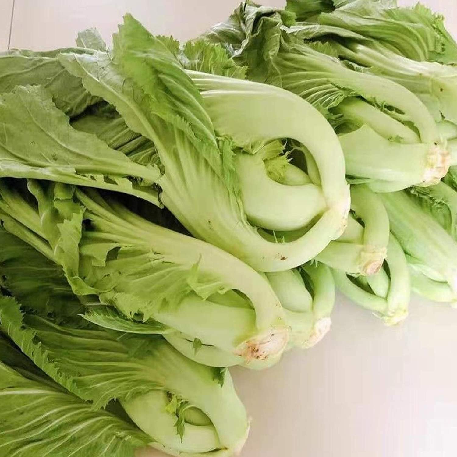 Chinese Heirloom Vegetable Seeds up to 50%