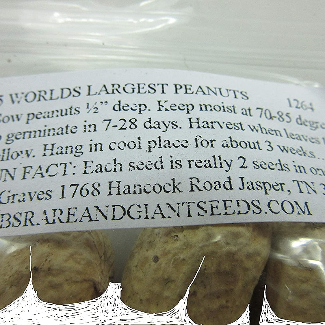 Giant Peanut Seeds up to 50%