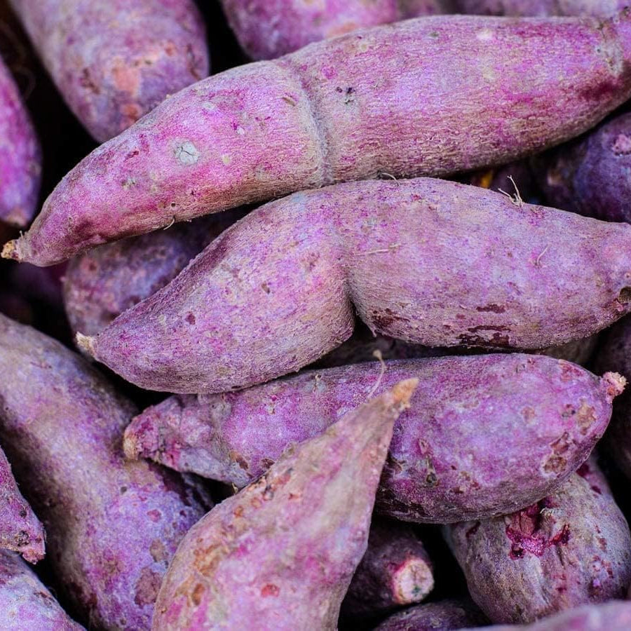 Purple Sweet Potato Seeds up to 50%