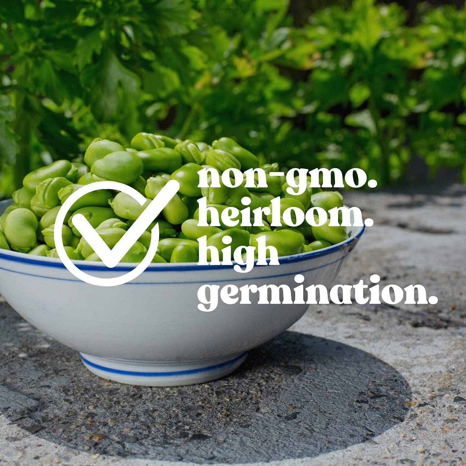 Fava Bean Vegetable Seeds up to 50%