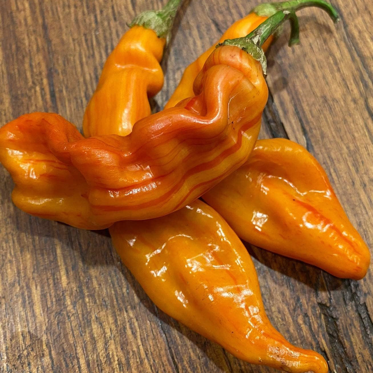 Striped Sugar Rush Bacon Malawi Piquante Pepper Seeds – up to 50%