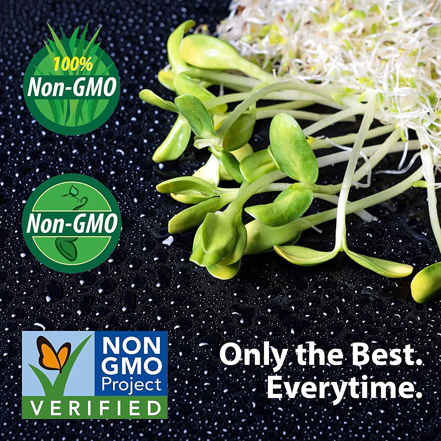 Leaf Lettuce Seeds – up to 50%