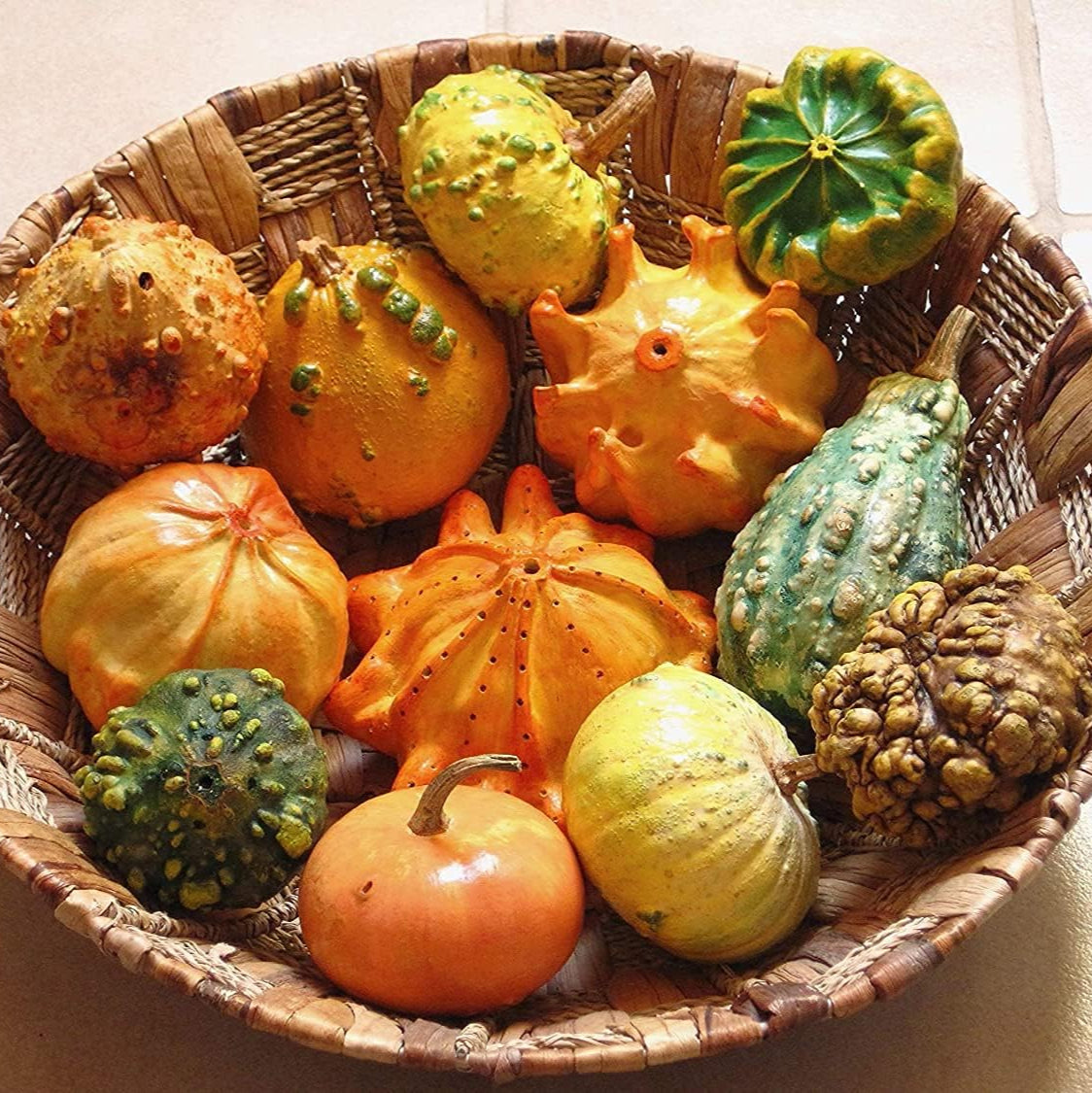 Ornamental Pumpkin Mix Seeds up to 50%