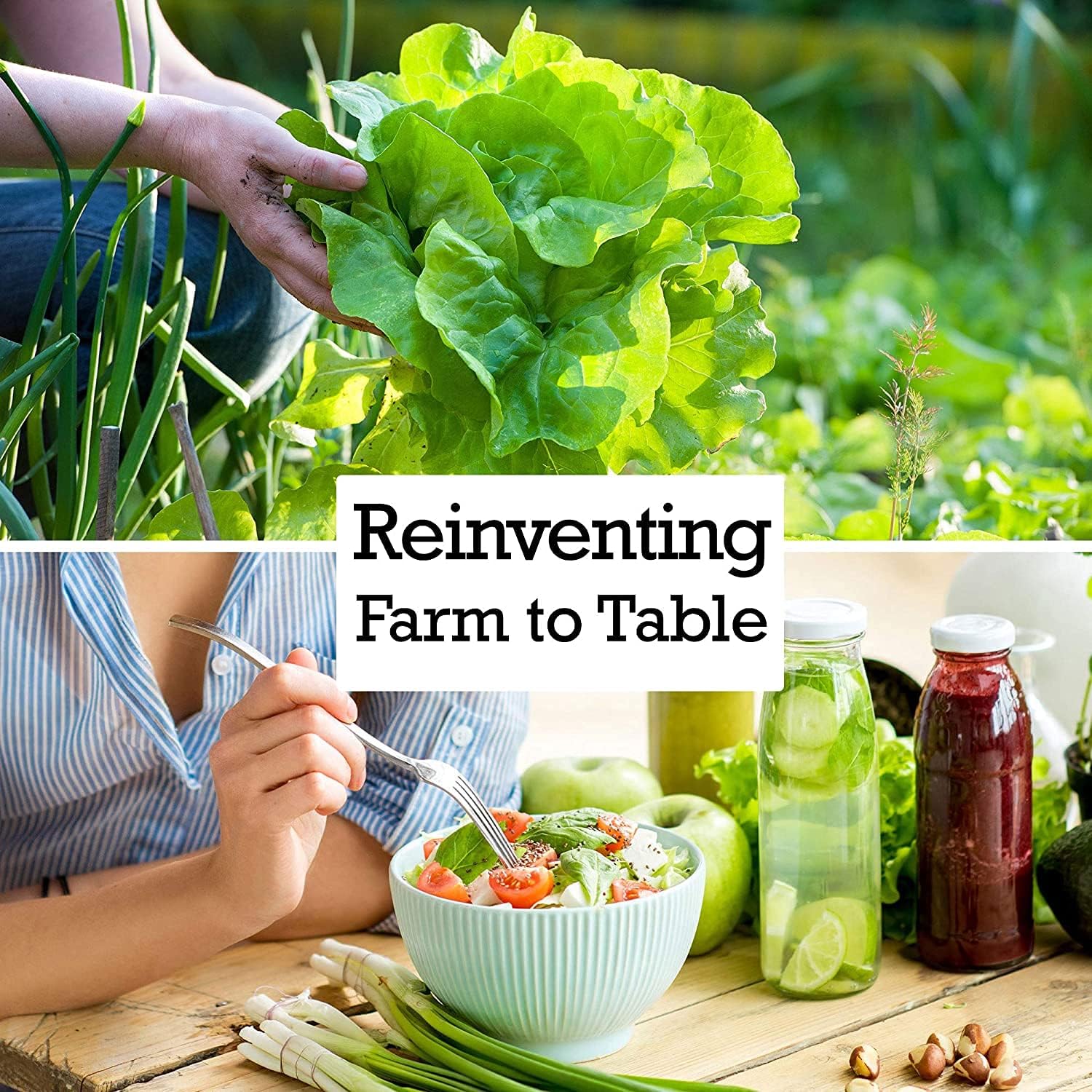 Silver King Corn Seeds up to 50%