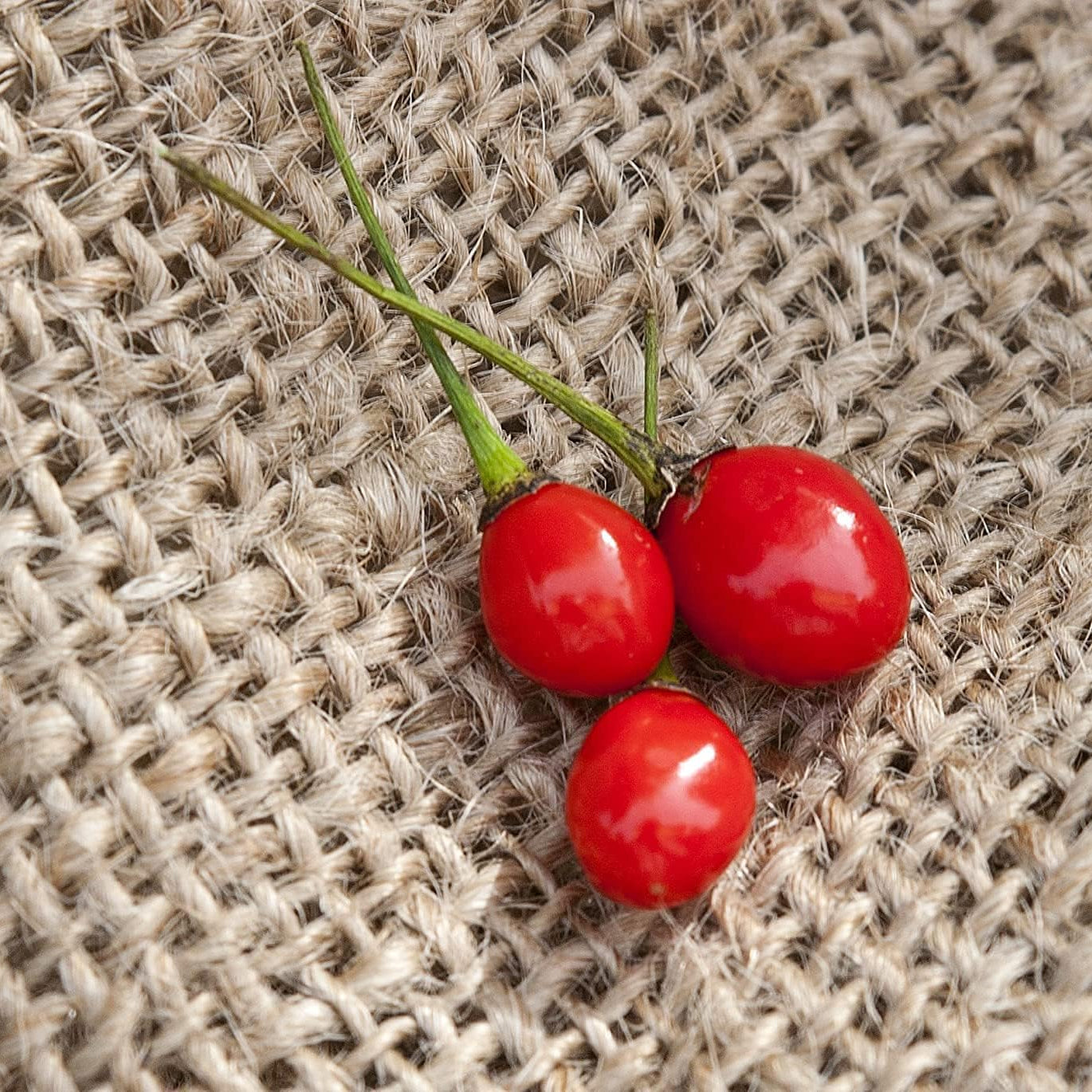 Texas Chiltepin Heirloom Hot Pepper Seeds– up to 50%