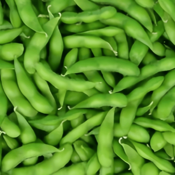 Edamame Seeds up to 50%