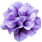 Bes 2