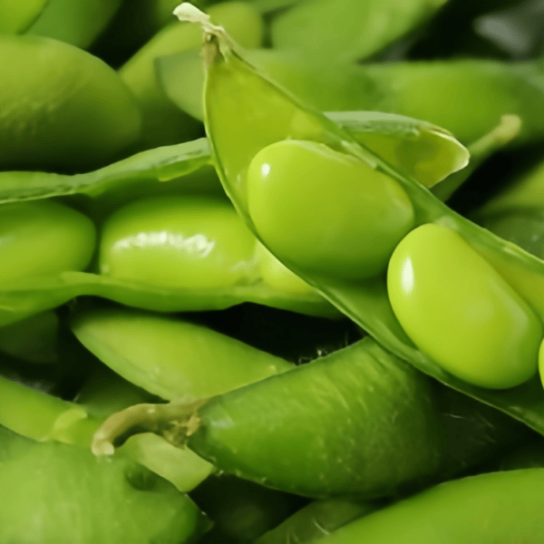 Edamame Seeds up to 50%