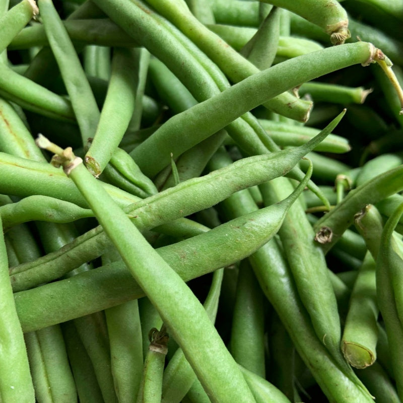 French Bean Seeds up to 50%