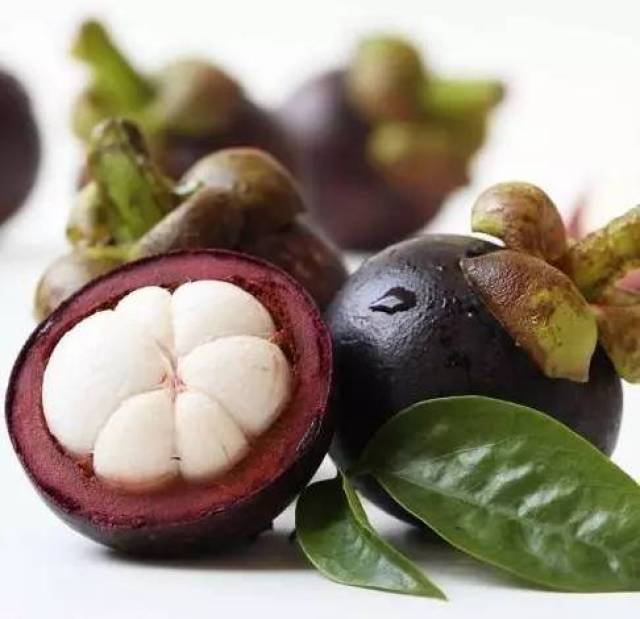 Mangosteen Tree Seeds up to 50%