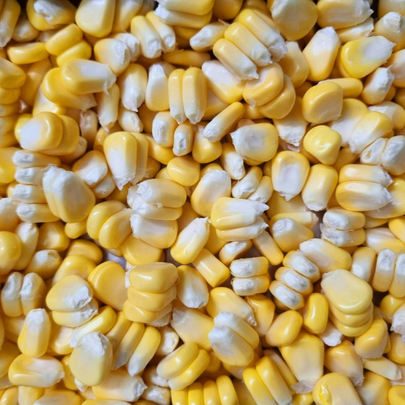 Corn Seeds up to 50%
