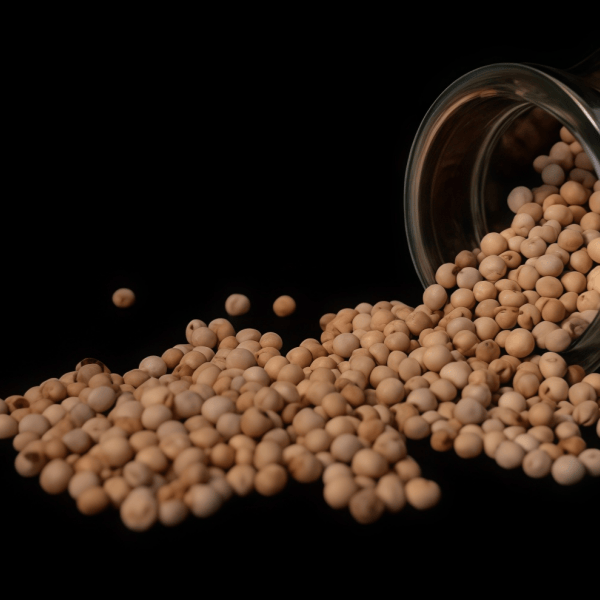 Black Pepper Seeds