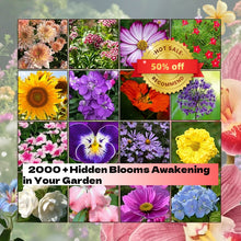 Flower Seed Bundle
