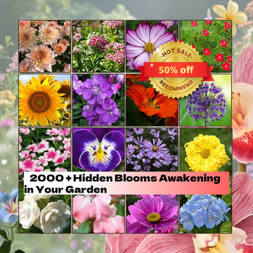 Set of 20 Flower Seed Packets! – 2000 Seeds Up to 50%