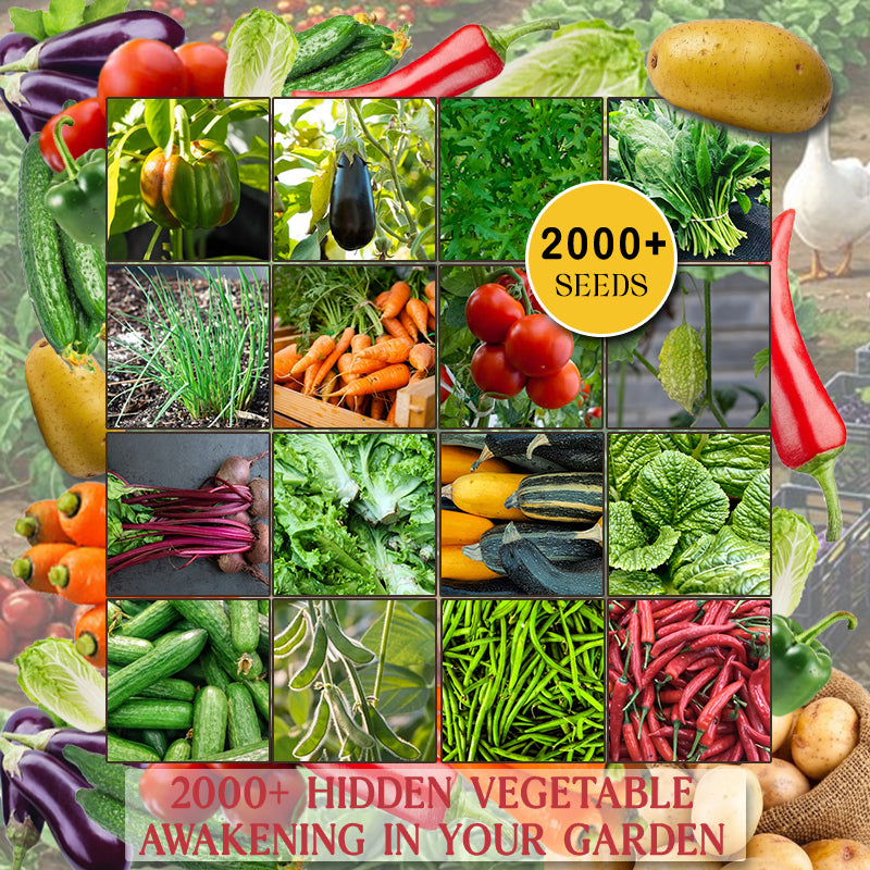 Set of 20 Vegetable Seed Packets – 2000+ Heirloom Seeds for Your Garden Up to 50%