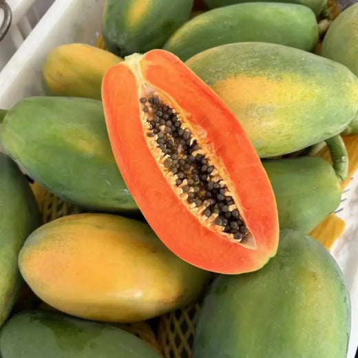 Red Lady Papaya Seeds
