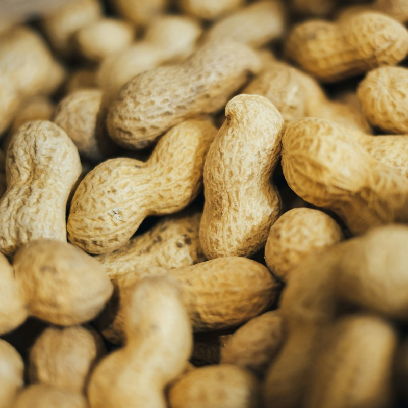 Peanut Seeds up to 50%
