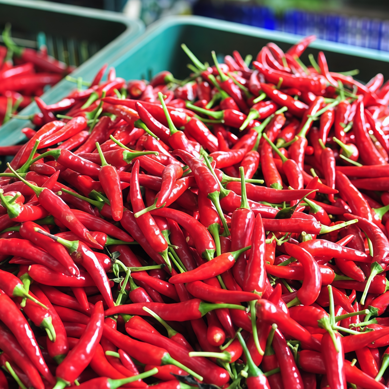 Capsicum Annuum Var. - American Red Horn Larger Packet High Germination 3000-15000 Onsaleseeds